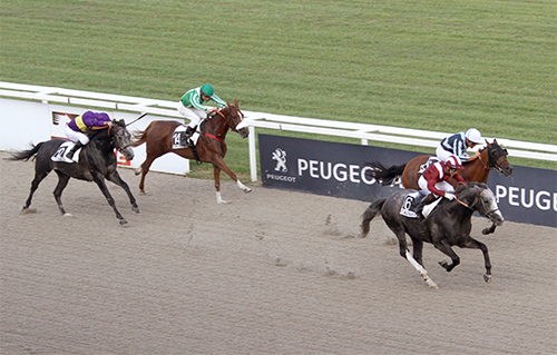 Hippodrome Côte d’Azur