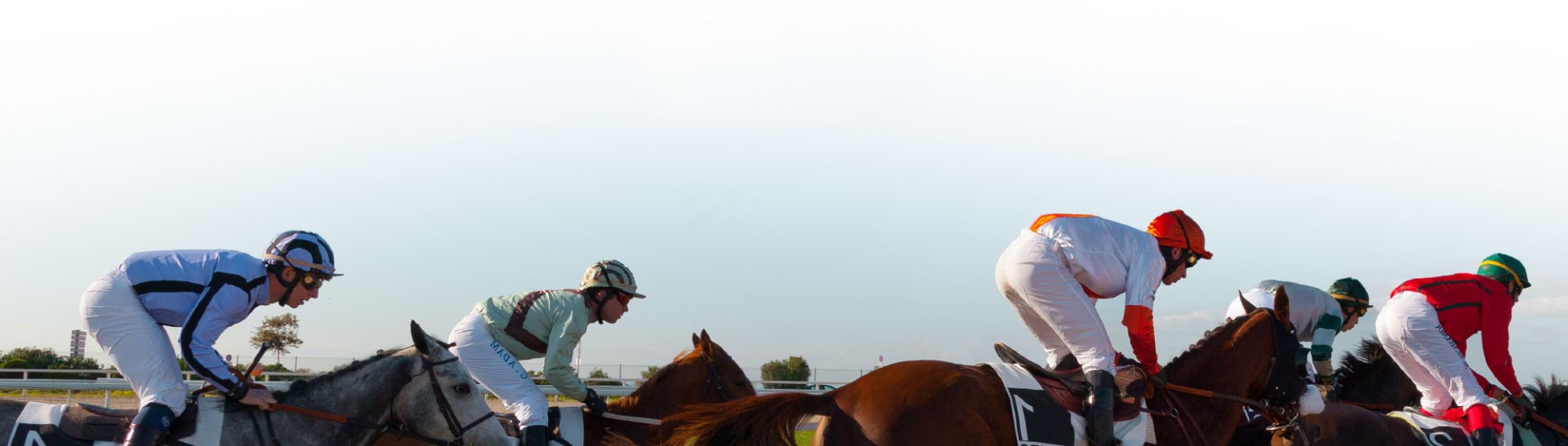 hippodrome cote azur cagnes sur mer